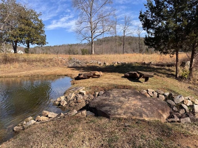 view of water feature