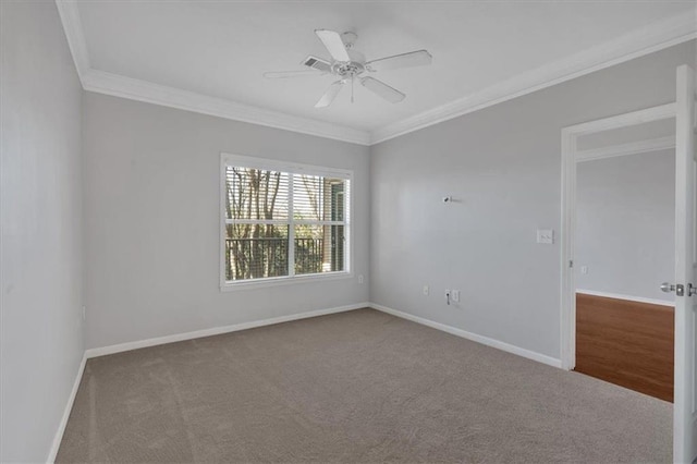 spare room featuring ceiling fan, carpet flooring, and ornamental molding