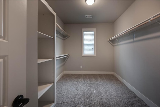 walk in closet featuring carpet flooring