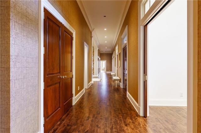 corridor with crown molding and dark hardwood / wood-style floors