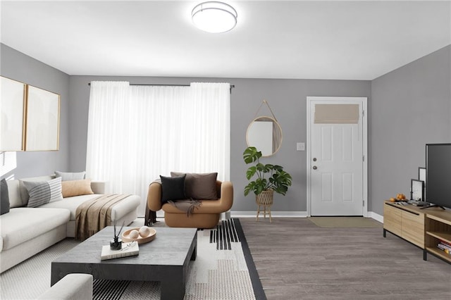 living room with wood-type flooring