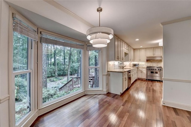 5507 Martina Way, Dunwoody, GA 30338 - kitchen with stainless steel appliances, under cabinet range hood, healthy amount of natural light, and ornamental molding