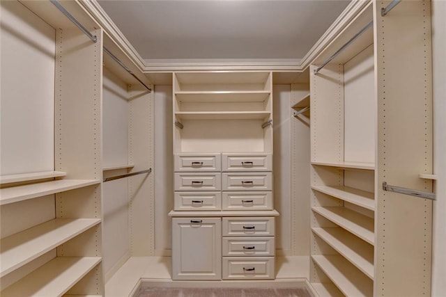 5507 Martina Way, Dunwoody, GA 30338 - view of walk in closet