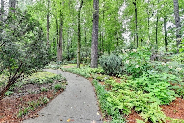 5507 Martina Way, Dunwoody, GA 30338 - view of community with a forest view