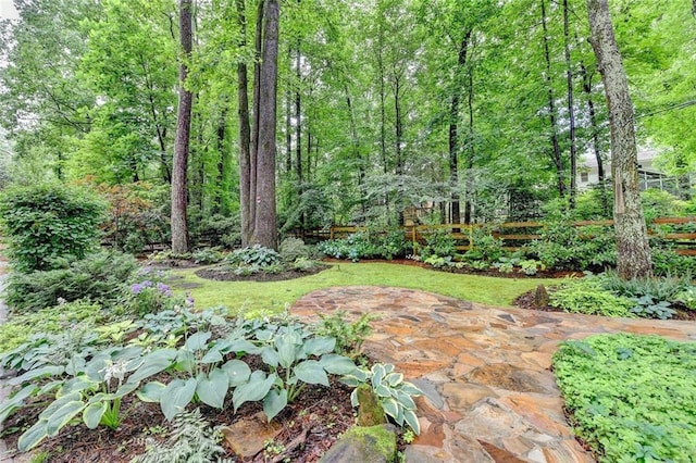5507 Martina Way, Dunwoody, GA 30338 - view of yard