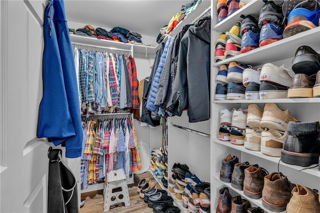 spacious closet with hardwood / wood-style flooring