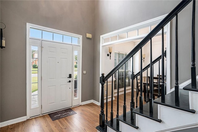 entrance foyer featuring wood-type flooring