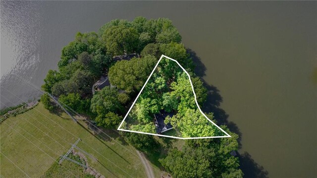 370 David Williams Rd, Sparta, GA 31087 - birds eye view of property