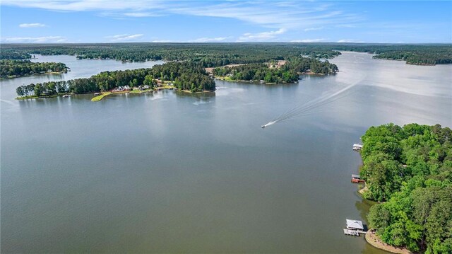 370 David Williams Rd, Sparta, GA 31087 - birds eye view of property featuring a water view and a wooded view