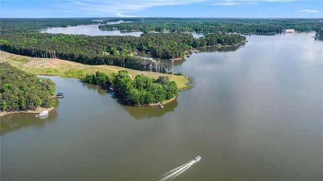 370 David Williams Rd, Sparta, GA 31087 - aerial view featuring a water view and a view of trees