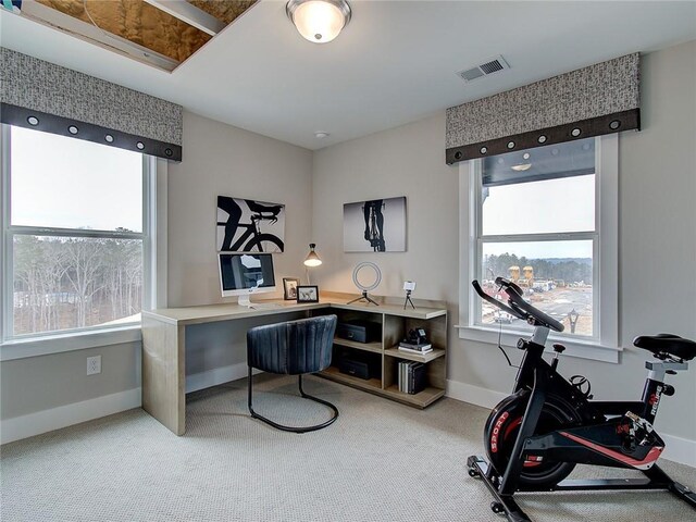 office area featuring a wealth of natural light and carpet