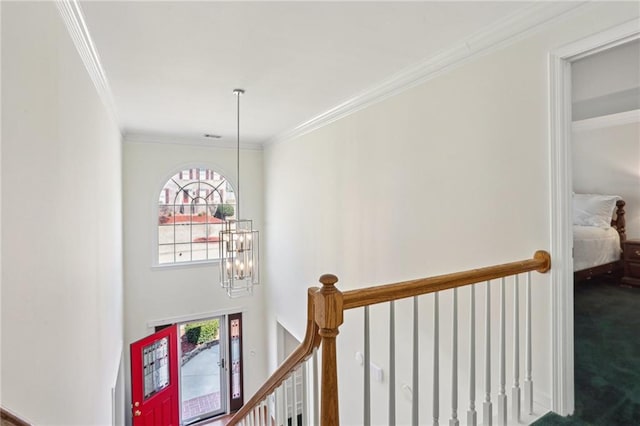 stairs featuring an inviting chandelier, crown molding, and carpet floors