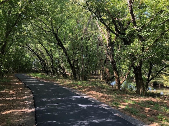 view of road with a view of trees