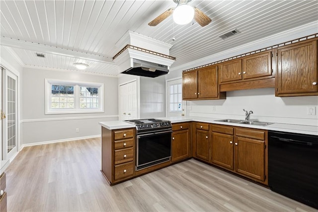 kitchen with dishwasher, sink, light hardwood / wood-style floors, and stove