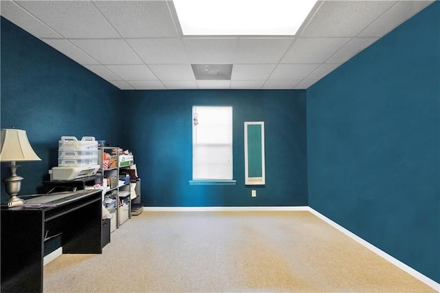 office space featuring a drop ceiling, carpet flooring, and baseboards