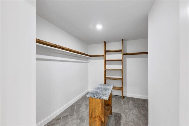 walk in closet featuring carpet