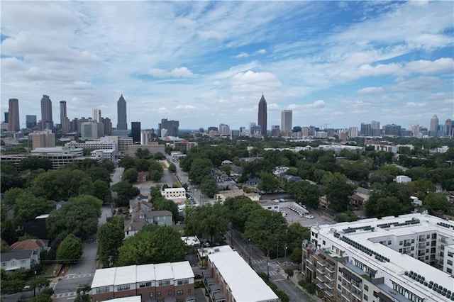 647 E Ave NE, Atlanta, GA 30312 - property's view of city