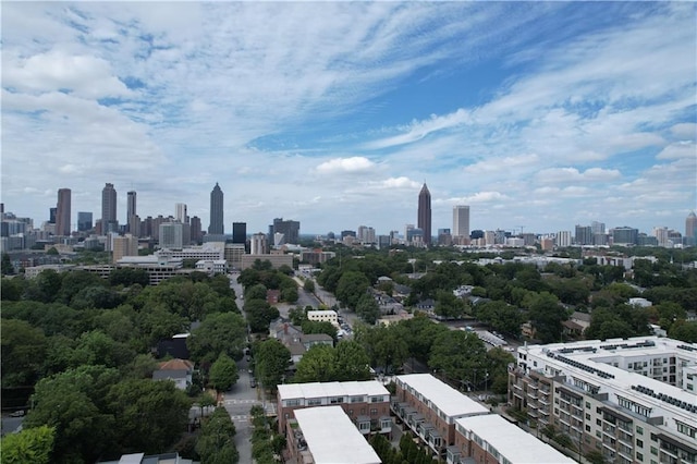 647 E Ave NE, Atlanta, GA 30312 - city view