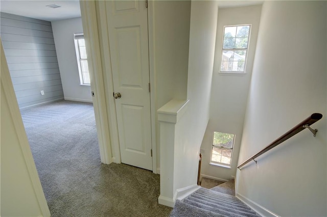 3263 Long Iron Pl, Lawrenceville, GA 30044 - stairs with carpet floors, plenty of natural light, and baseboards