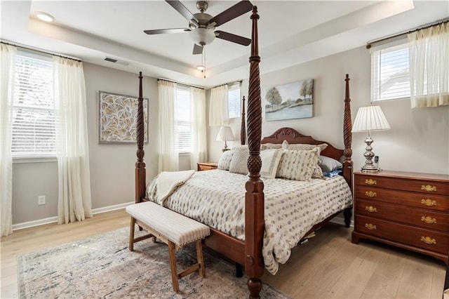 15 Lakeside Way, Cartersville, GA 30121 - bedroom with a tray ceiling, light wood-style flooring, multiple windows, and baseboards