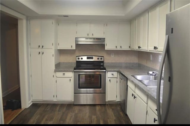 kitchen with white cabinetry, sink, dark hardwood / wood-style flooring, a tray ceiling, and stainless steel appliances