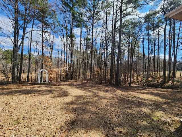 view of local wilderness