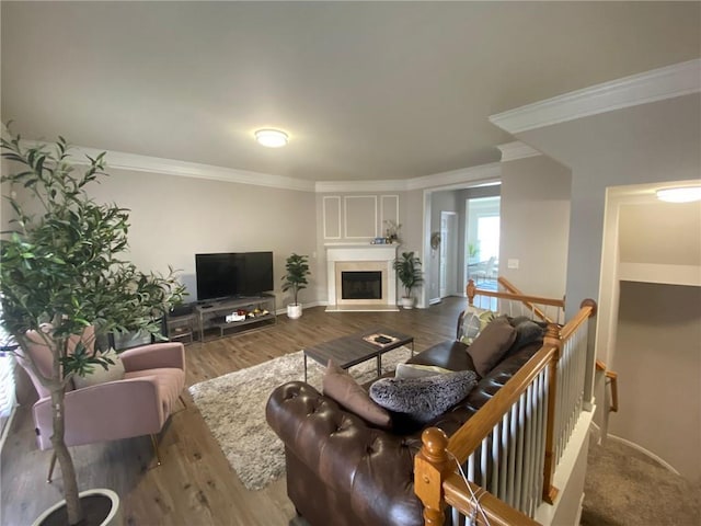 living room featuring ornamental molding, a fireplace, and wood finished floors