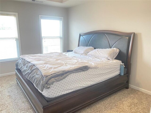 carpeted bedroom with multiple windows