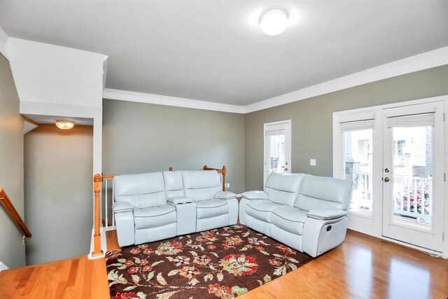 living room with french doors, wood-type flooring, and ornamental molding