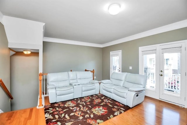 living area featuring french doors, wood finished floors, and crown molding