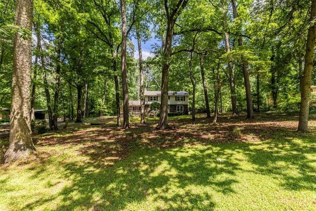 view of grassy yard