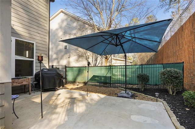 view of patio / terrace with a fenced backyard and area for grilling