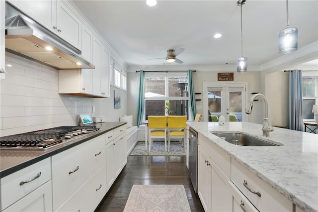 kitchen featuring stainless steel appliances, decorative backsplash, ornamental molding, a sink, and under cabinet range hood