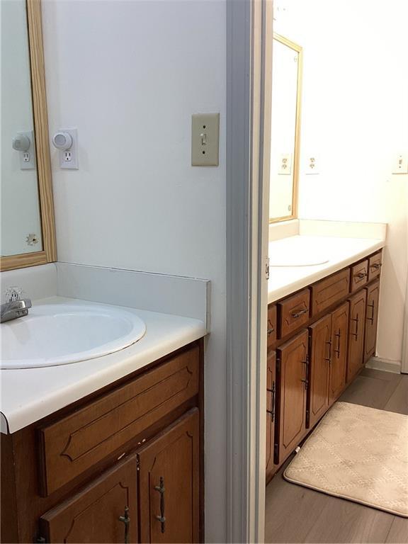 bathroom featuring wood finished floors and vanity