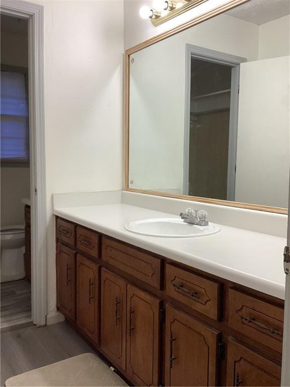 bathroom with toilet and vanity