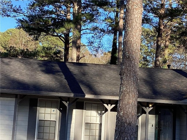 details with roof with shingles