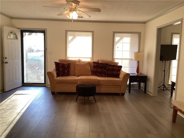 living area featuring a textured ceiling, a ceiling fan, crown molding, and wood finished floors