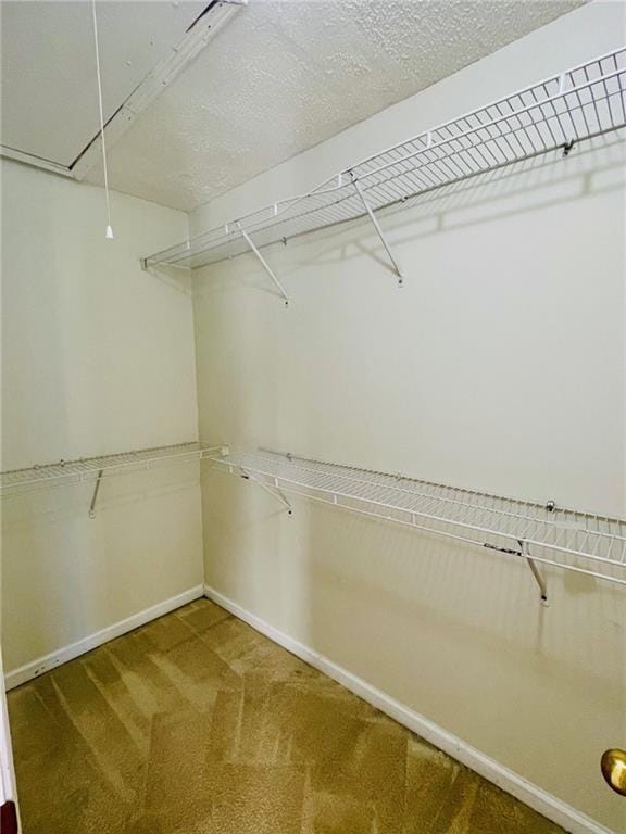 spacious closet with carpet and attic access