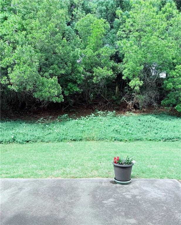view of green lawn featuring a patio