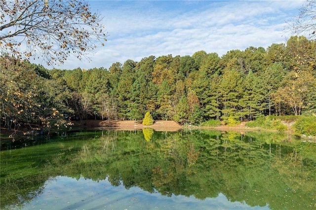 water view with a forest