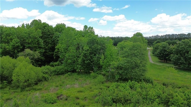 2962 Girard Ln, Duluth, GA 30097 - view of tree filled area
