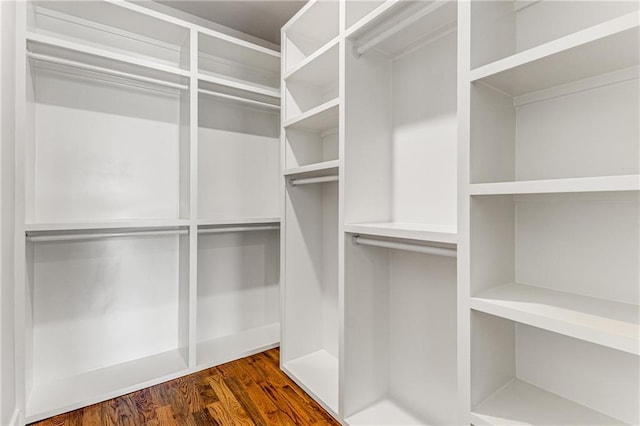 walk in closet with dark hardwood / wood-style floors