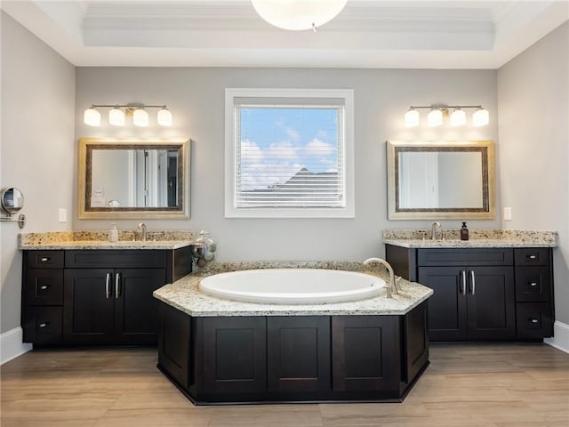 bathroom featuring a bathing tub, vanity, and a tray ceiling