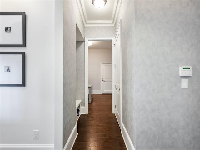 hall featuring ornamental molding and dark hardwood / wood-style floors