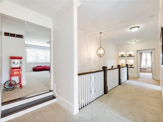 hallway featuring a chandelier, light carpet, and ornamental molding