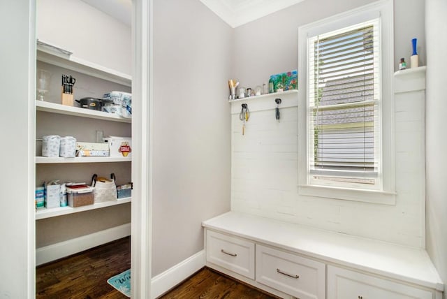 2638 Clairmont Rd, Atlanta, GA 30329 - mudroom featuring dark wood-style flooring and ornamental molding