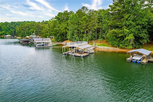 dock area with a water view