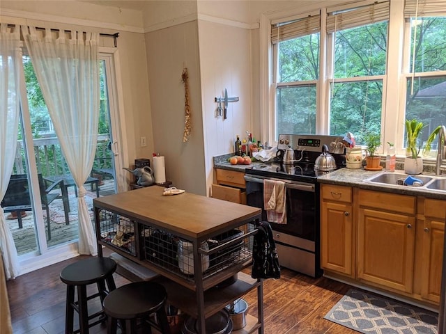 kitchen featuring sink, electric stove, a wealth of natural light, and dark hardwood / wood-style floors