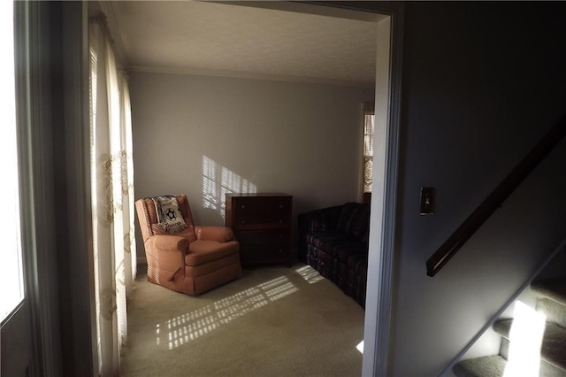 sitting room with carpet flooring