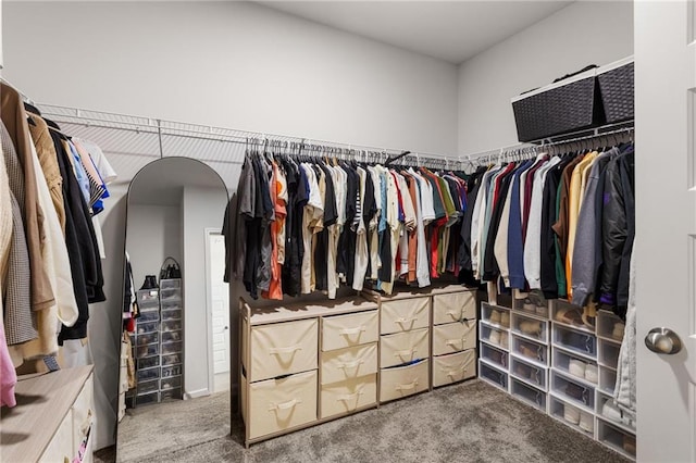 187 Lyndhurst Dr, Bethlehem, GA 30620 - spacious closet with carpet flooring